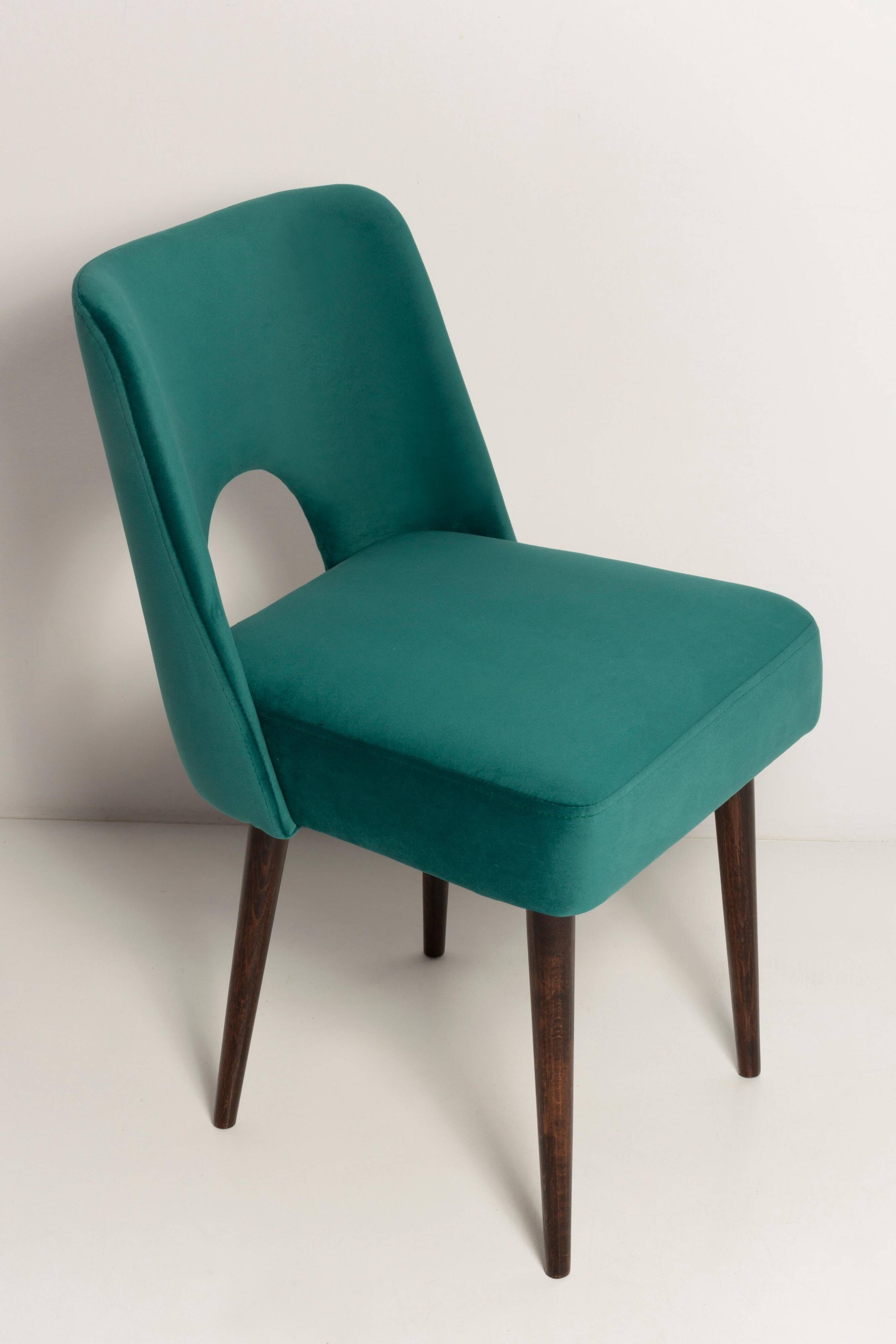 Chaise « shell » en velours crème et bois, Pologne, 1960s