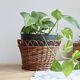 Cache-pot vintage rotin tressé – Accessoire plante d'intérieur