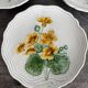 Set of 3 Small Barbotine Plates Villeroy & Boch Schramberg