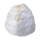 Corail blanc