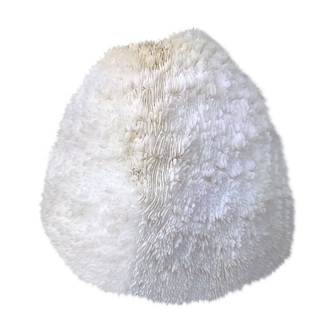 White coral