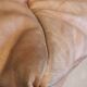 Togo pouffe by Michel Ducaroy for Ligne Roset natural leather