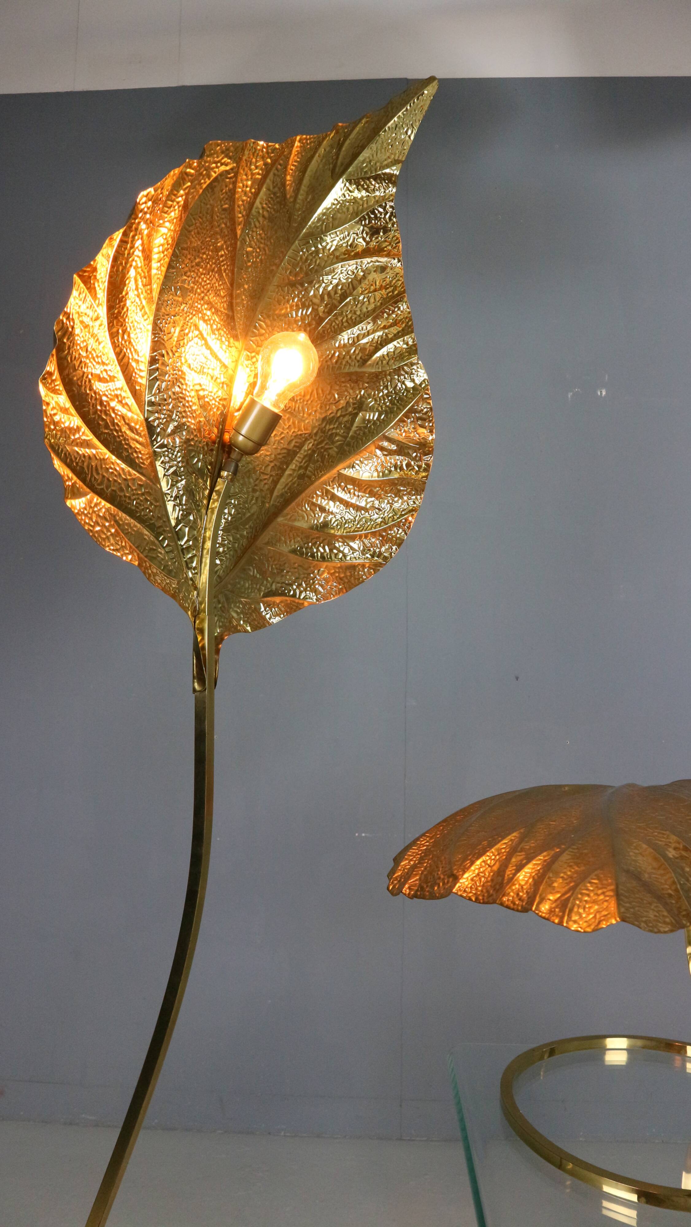 Tommaso Barbi "Rhubarb" floor and table lamp by Bottega Gadda Italy, 1970