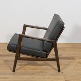 Model 300-139 Armchair from Swarzędz Furniture Factory, Poland, 1960s