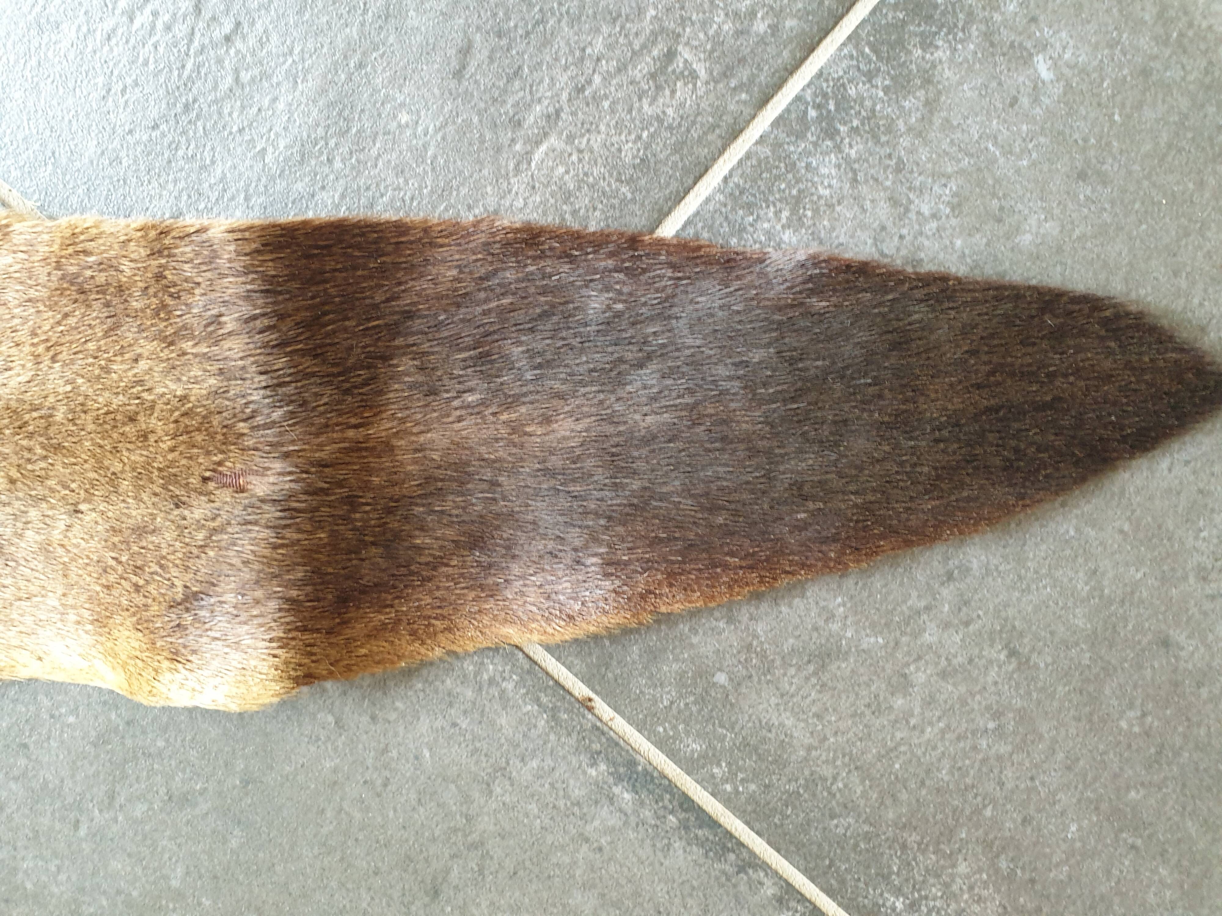 Kangaroo skin