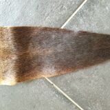 Kangaroo skin