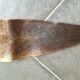 Kangaroo skin