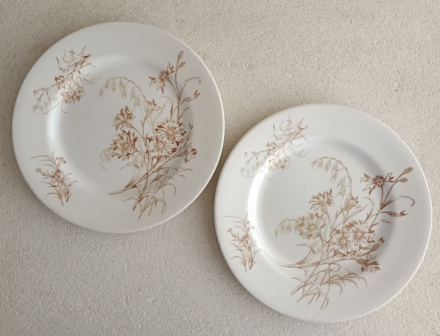 2 plates earth of iron Lunéville