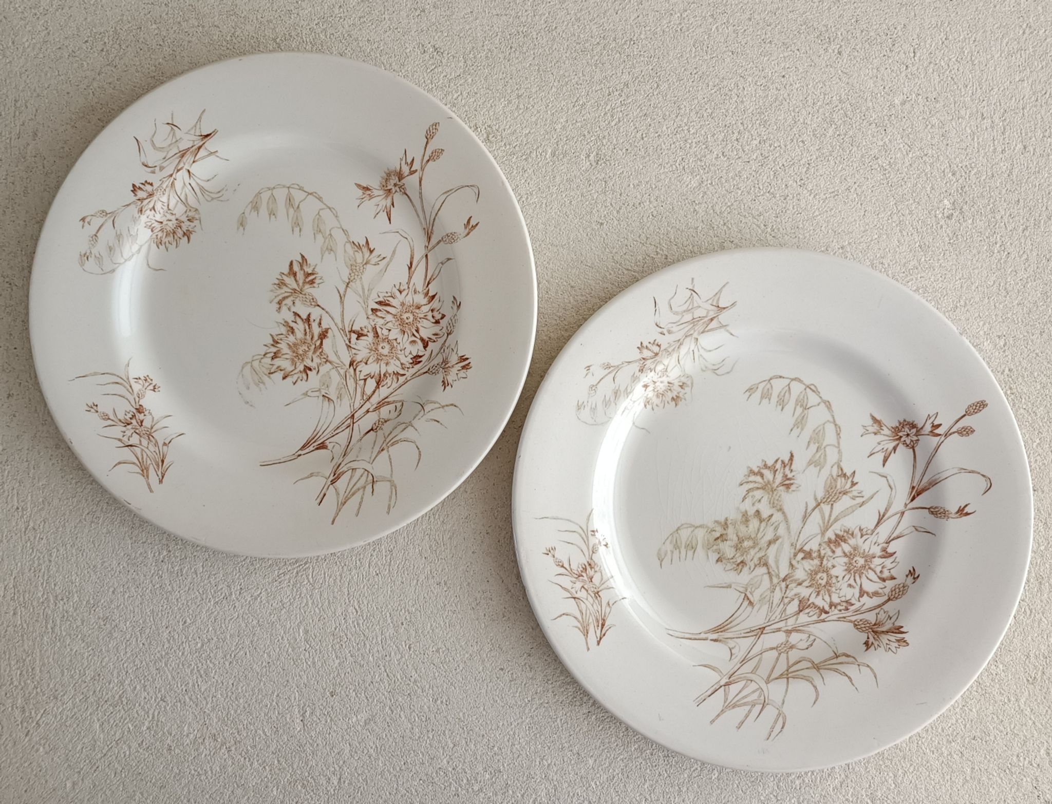 2 plates earth of iron Lunéville