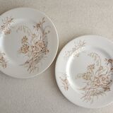 2 plates earth of iron Lunéville
