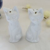 Salt and pepper shaker