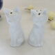 Salt and pepper shaker
