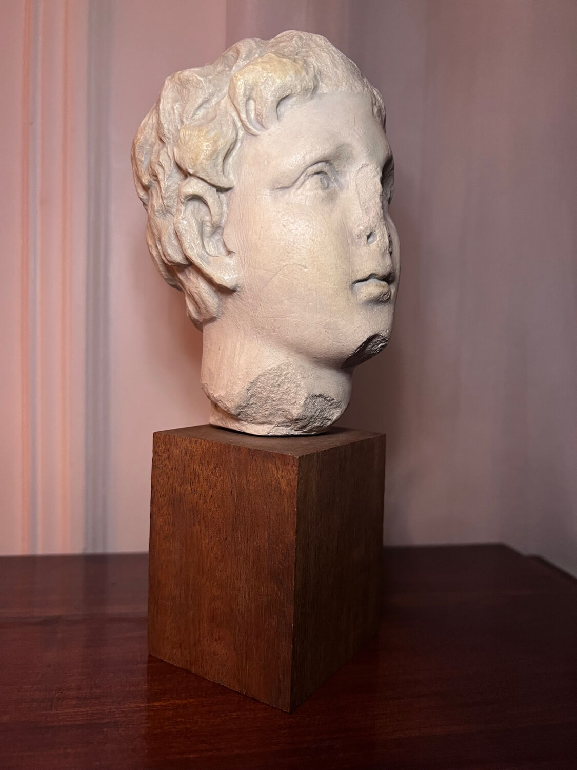 Bust, head of a young man - reproduction from the museum of Sens
