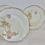 6 Assiettes plates Baltimore Rose de Haviland Limoges