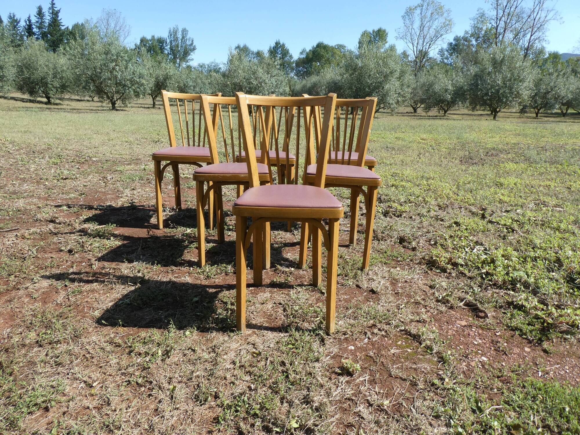 Set of 6 baumann bistro chairs N°12 skaï color "wine lees"