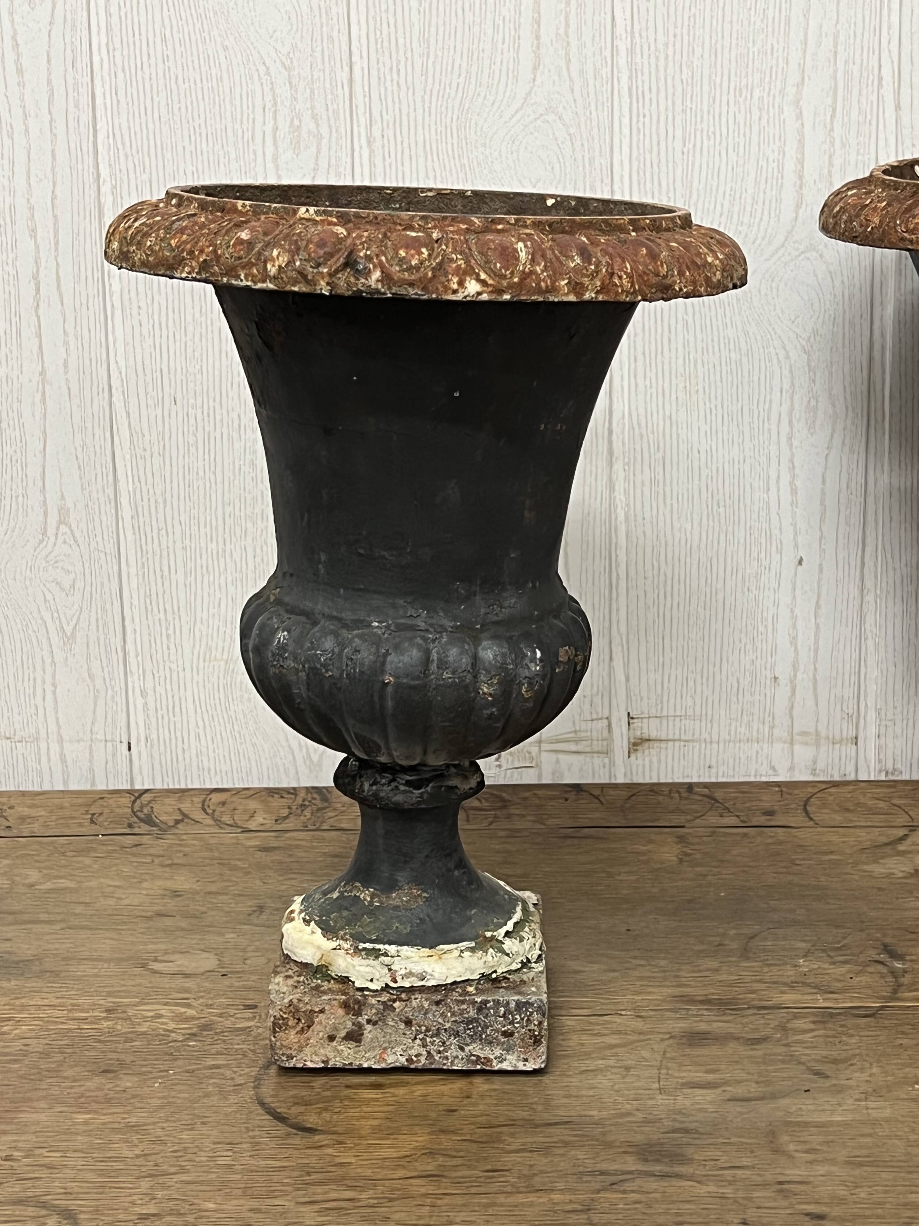 Pair of Medici vases