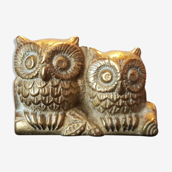 Owl couple and owl aiton
