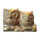 Couple de chouette et hibou aiton