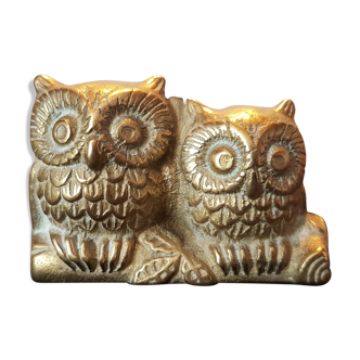 Owl couple and owl aiton