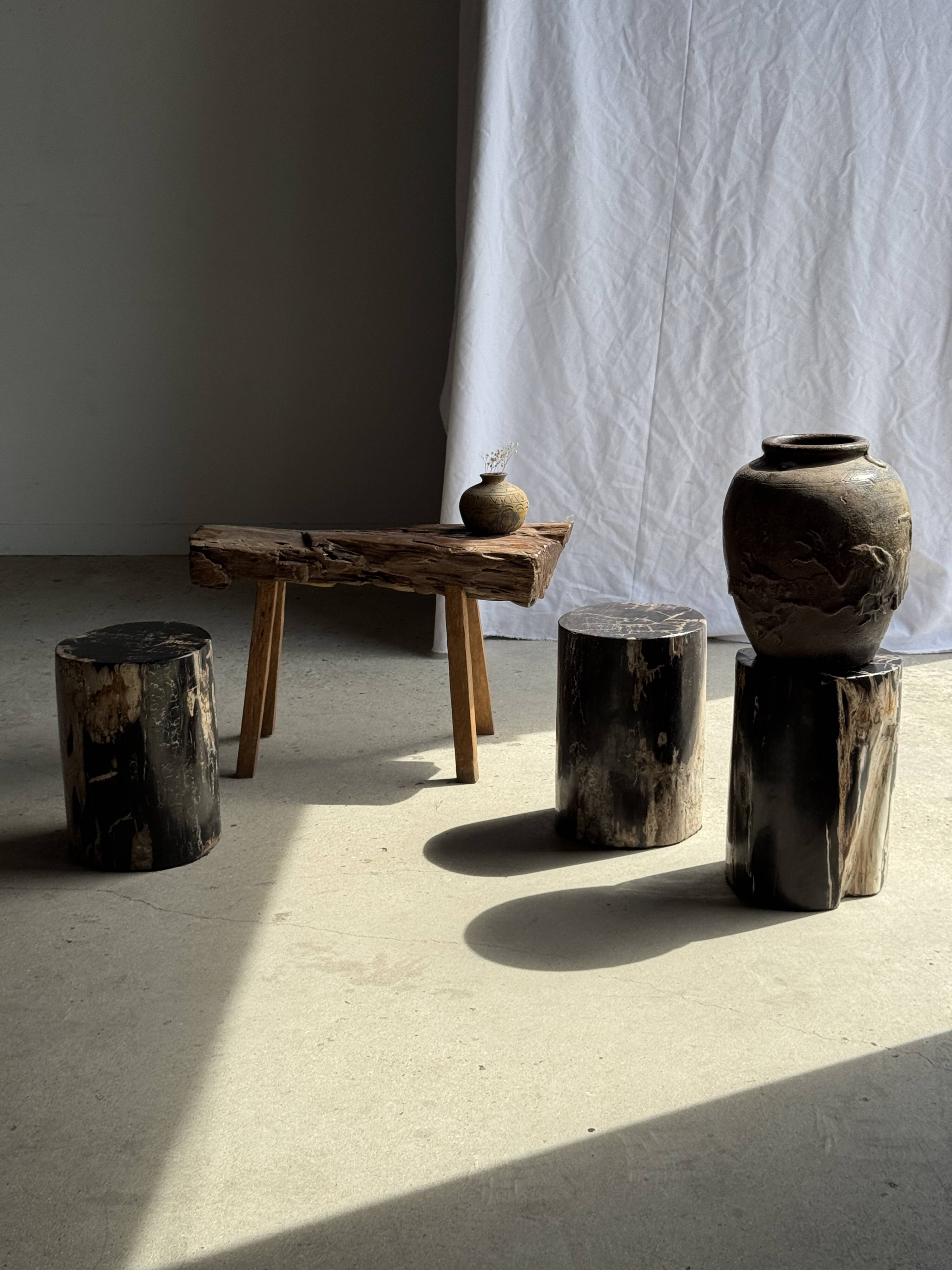 Black petrified wood side table with beige stripes, star pattern H35 D24.