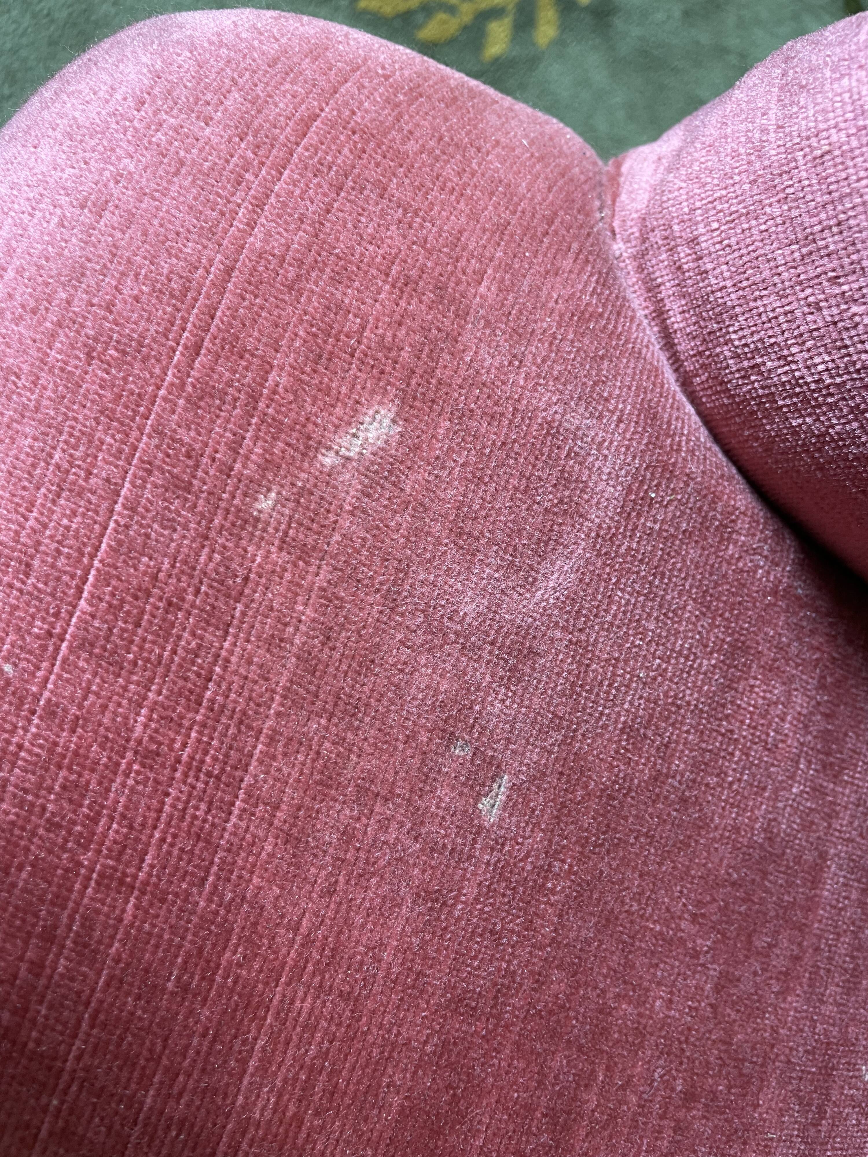 Toad armchair Napoleon III pink velvet