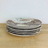 8 plates 1 dish Olde English Countryside Johnson Bros ironstone