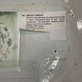 Round dish Sinceny 18th century