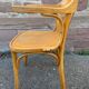 American office style armchair Viennese curved wood FISCHEL THONET 1950