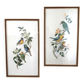 Duo of lithographs representing birds, wooden frame with gilding