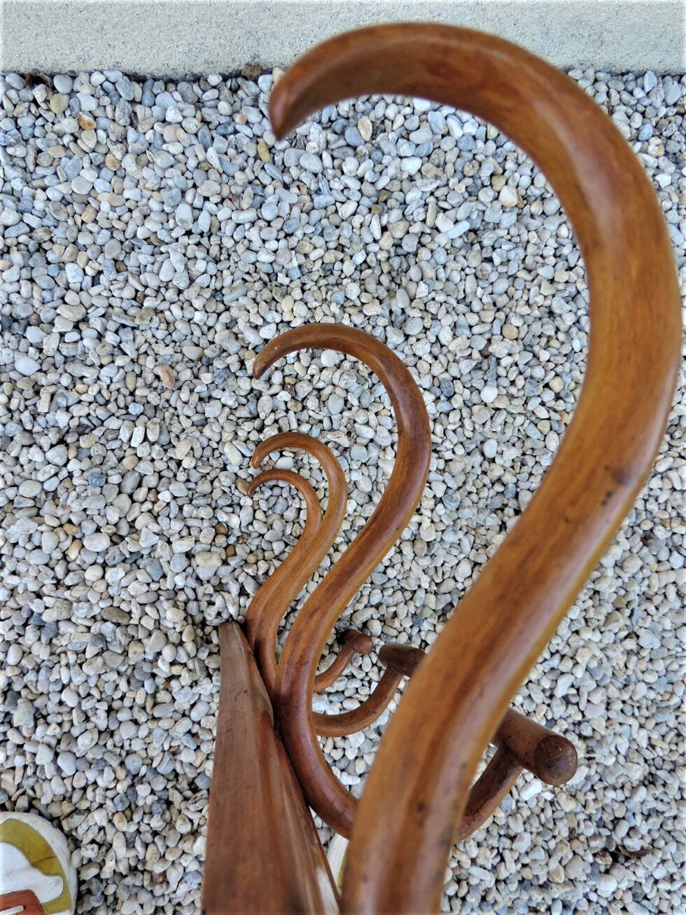 Wall door in curved wood 1900