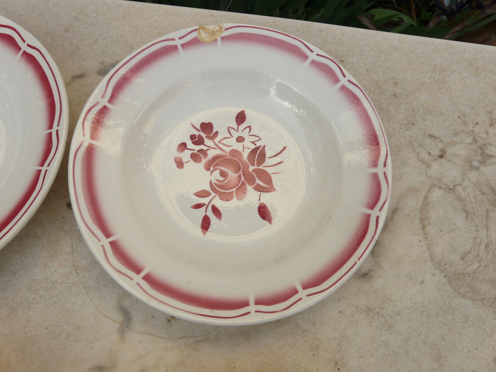 6 plates digs badonviller red flowers