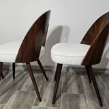 Dining Chairs by Antonin Suman, 1960s, Set of 4