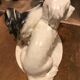 Rare pair of porcelain dogs from Czechoslovakia