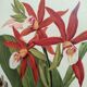 Botanical engraving from 1897 - Phaius Wallichii - Old flower plate by Achille Lefevre