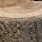 Vintage tree trunk chair