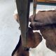Farmhouse table