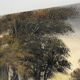 Old oil painting on canvas of a forest landscape.