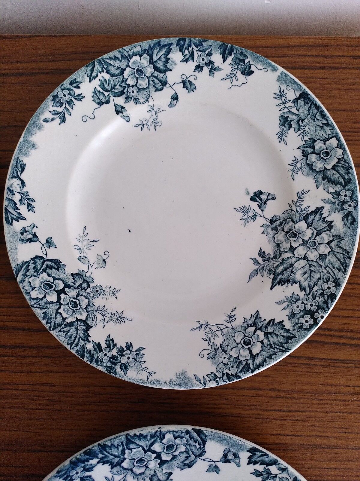 Set of flat and hollow plates in Terre de Fer Saint Amand & Hamage