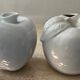 Duo of porcelain apple soliflores