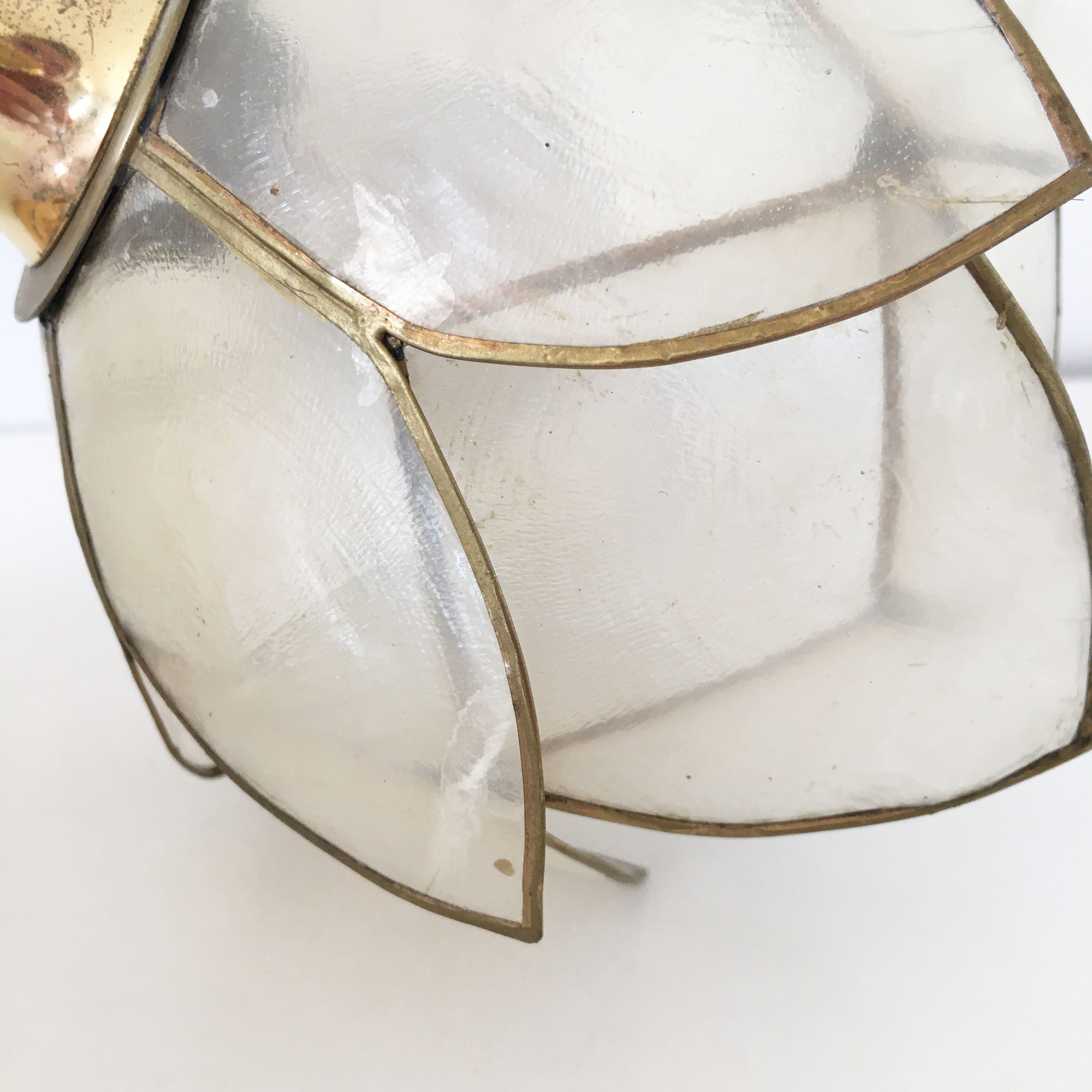 Pair of mother-of-pearl flower sconces