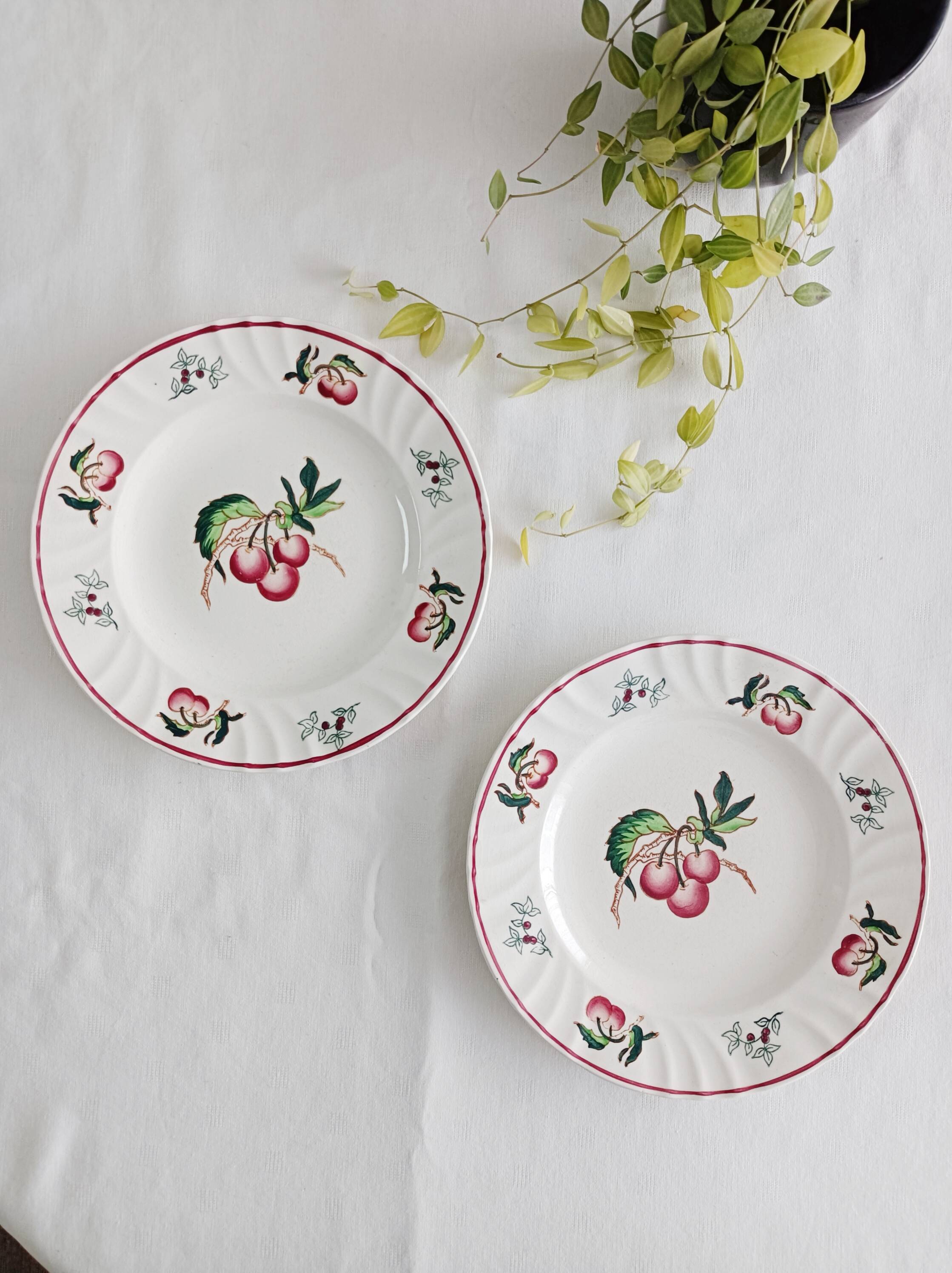 Set of 2 Longwy Montmorency flat plates