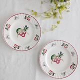 Set of 2 Longwy Montmorency flat plates