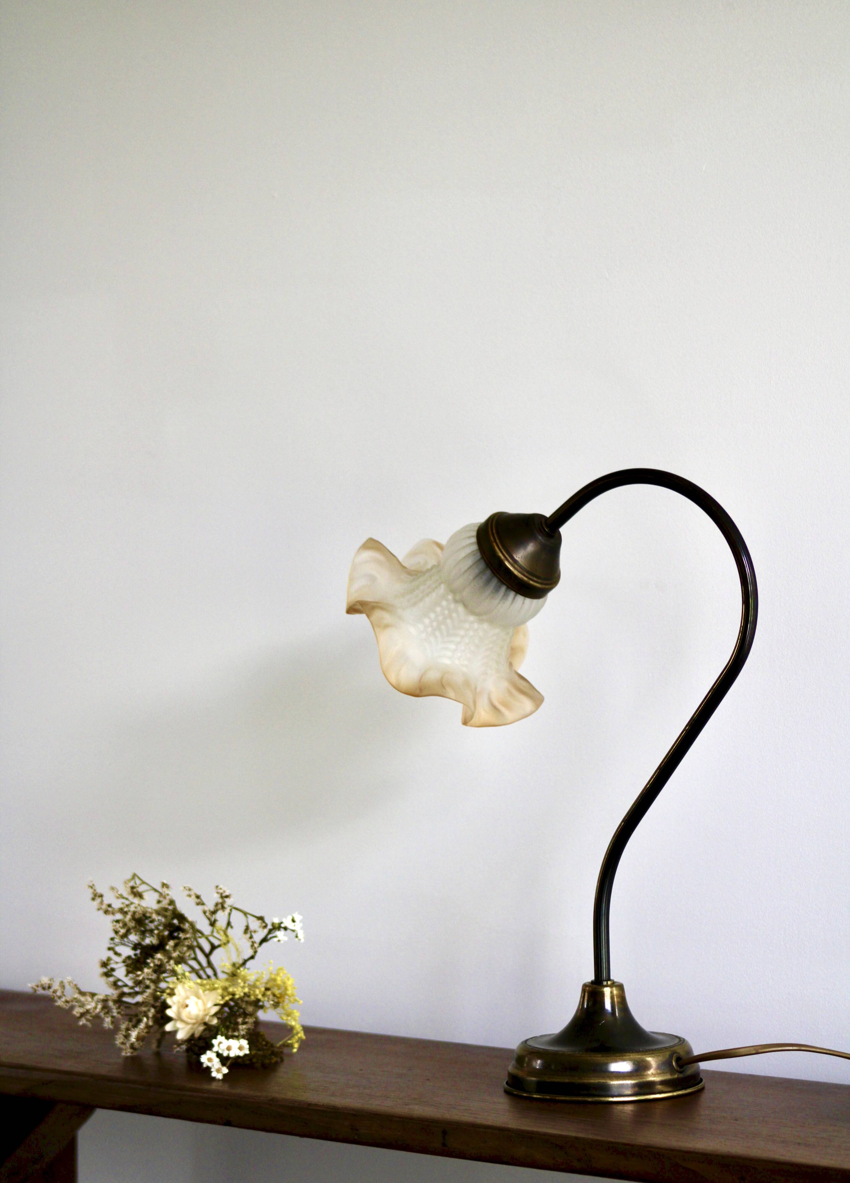 Delmas gooseneck lamp in brass with tulip globe
