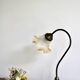 Delmas gooseneck lamp in brass with tulip globe