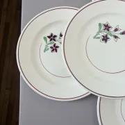 4 vintage flat plates from the Salins factory 210638