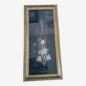 Frame of plants and edelweiss signed.