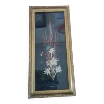 Frame of plants and edelweiss signed.
