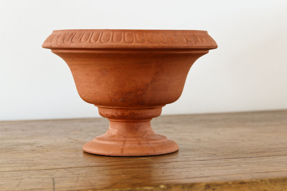 Medicis Cup in terracotta