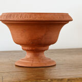 Medicis Cup in terracotta