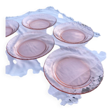 Lot 6 hollow plates Rosaline